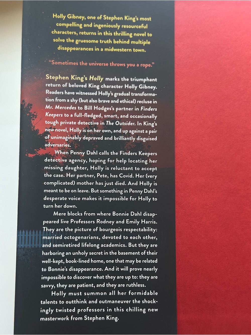 Holly by Stephen King | Fiction, Thriller | Hardcover Book - Picture 3 of 11